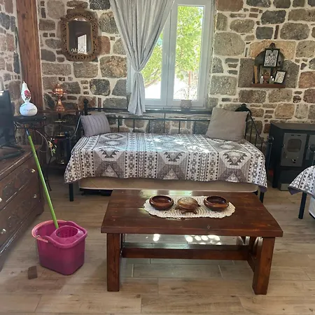 Michaela House *